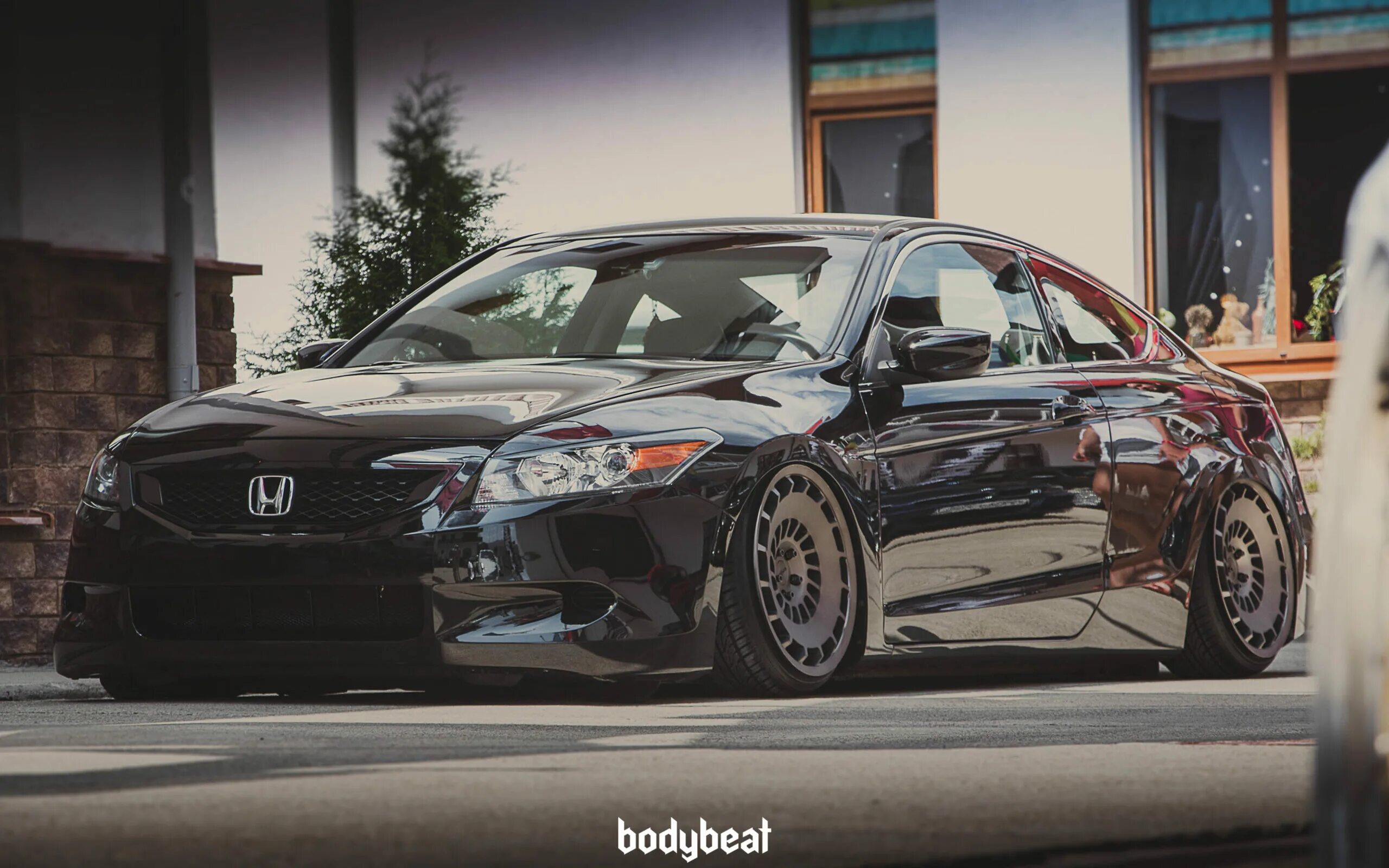 Grounded фракелайн. Grounded вылетает. Grounded 2. Grounded 2. Для рабочего стола grounded.