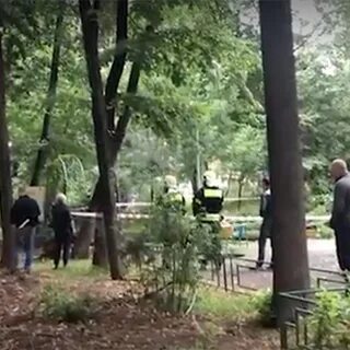 На мальчика упал дерево