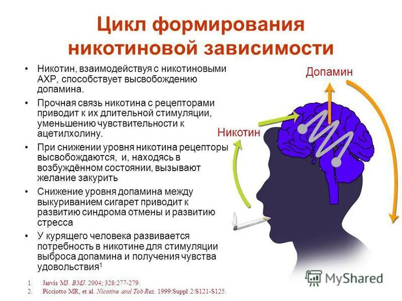 Почему происходит зависимость. Формирование никотиновой зависимости. Симптомы никотиновой зависимости. Признаки никотиновой зависимости. Механизм формирования никотиновой зависимости.