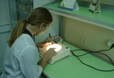 Институт провел исследование