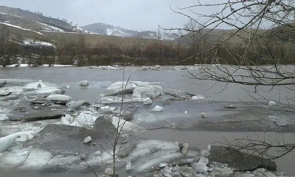 Уровень воды в чарыше на сегодня. Паводок Алтайский край Чарышский район 2014. Чарыш паводок. Краснощеково Алтайский край потоп 2014. Чарыш потоп 2014.