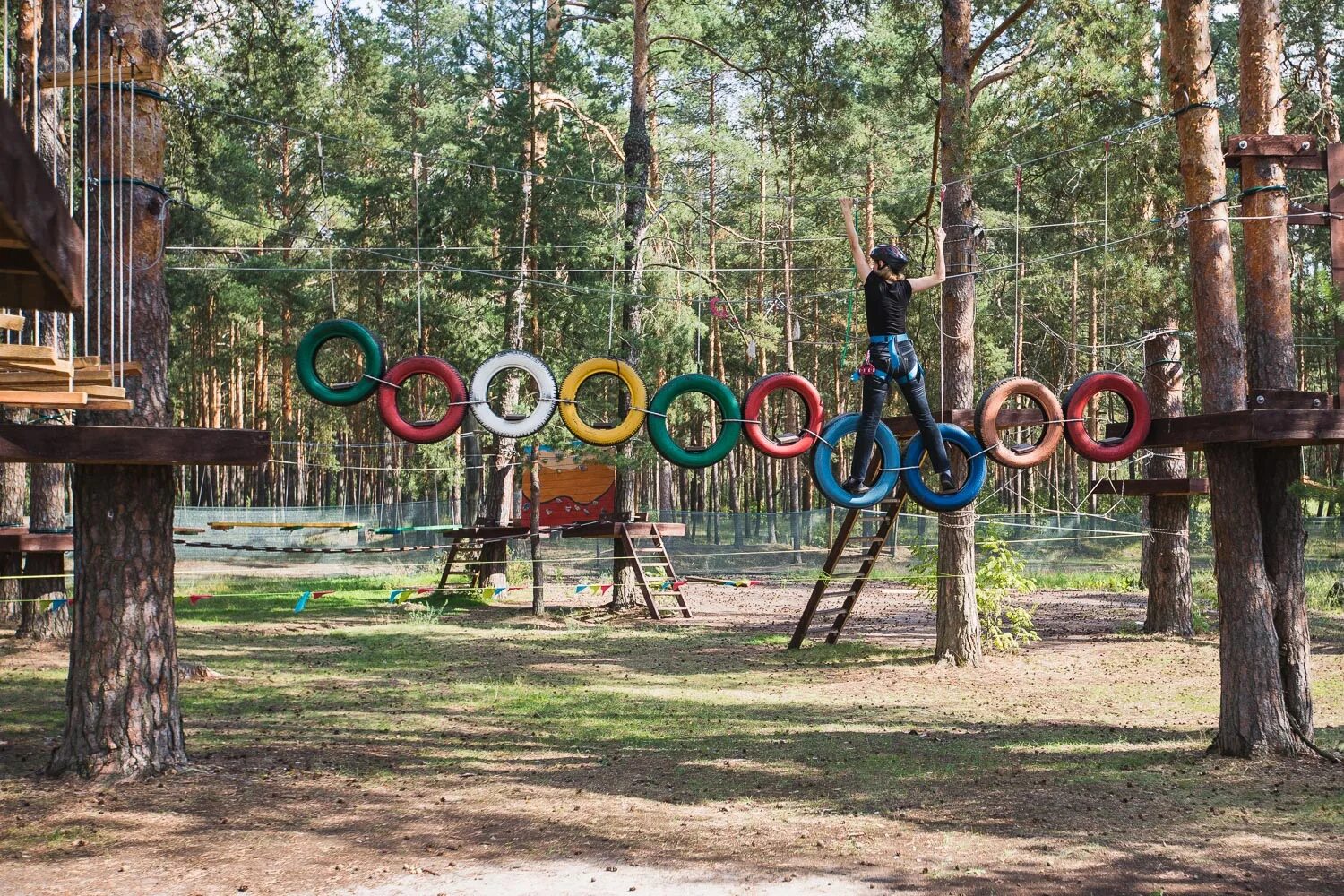 Веревочный парк чита. Верёвочный парк во Владимире загородный парк. Веревочный парк павиан во Владимире. Хамелеон Чита веревочный.