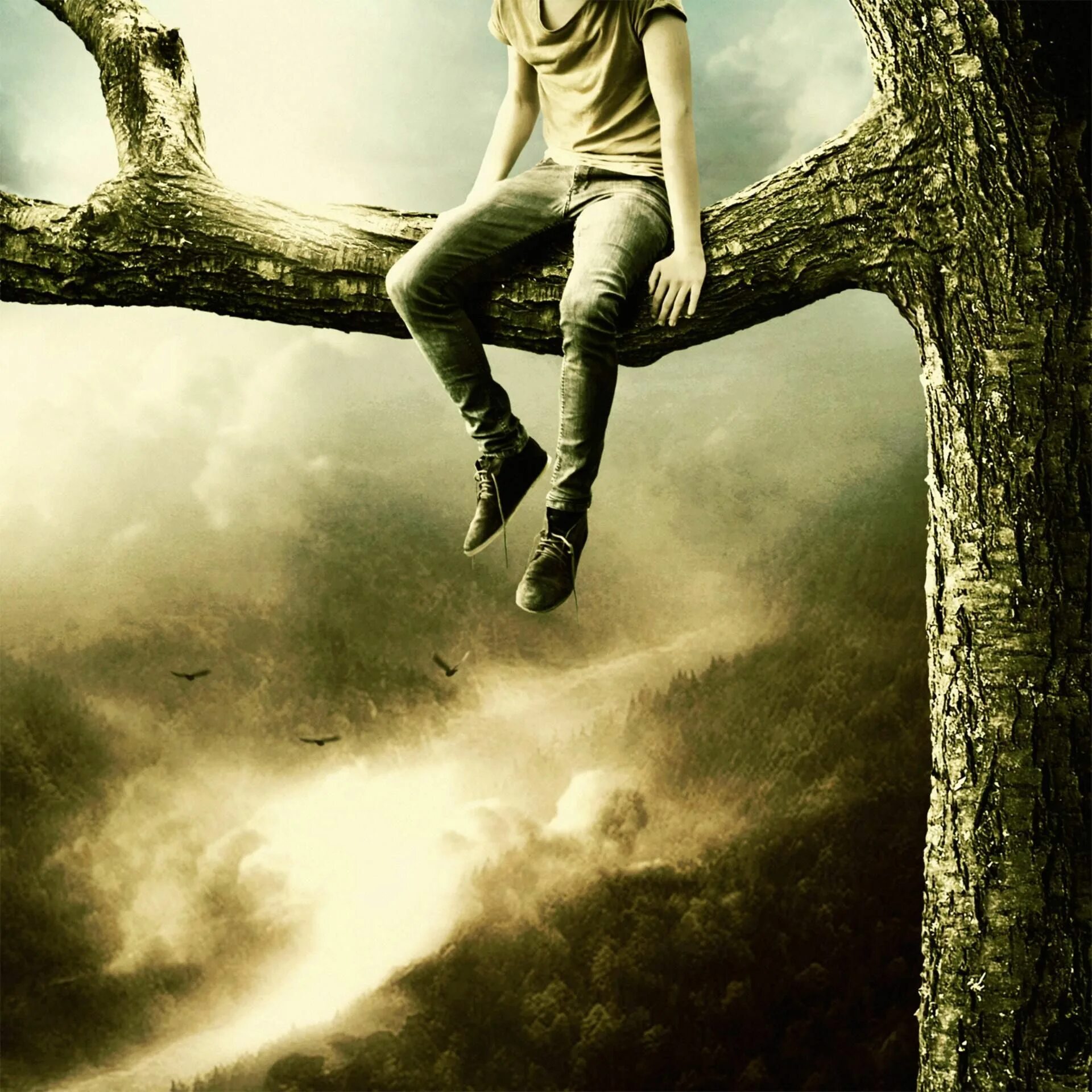 Martin stranka. Человек сидит на ветке дерева. Человек сидит на дереве.