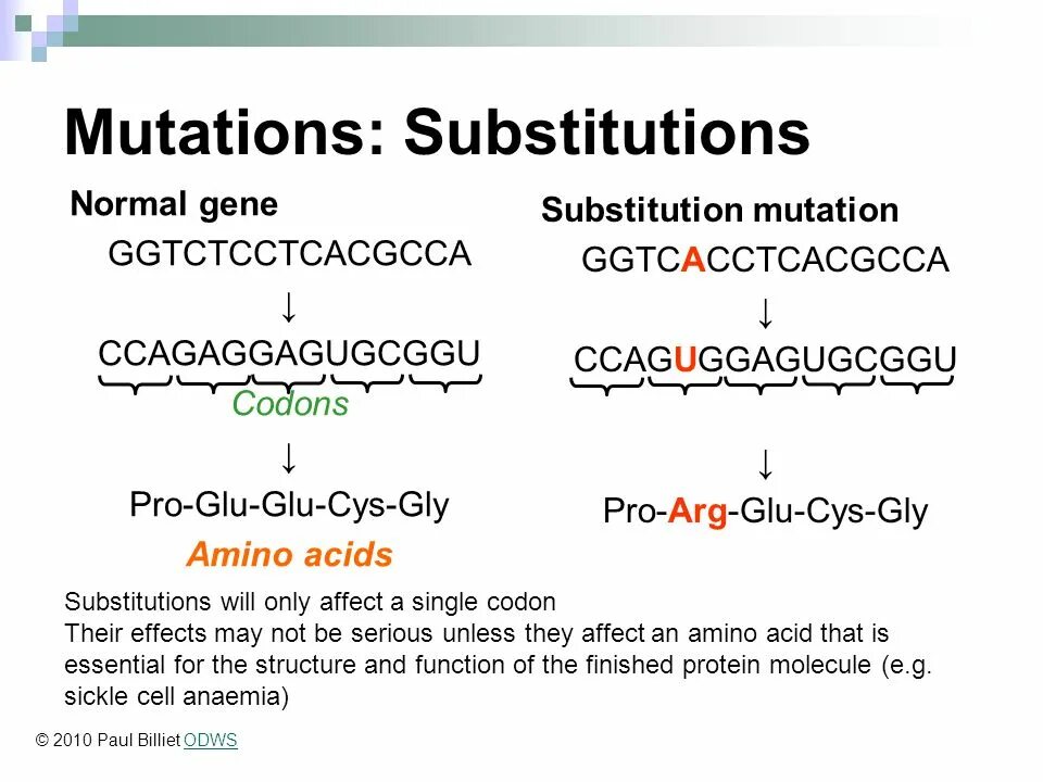 Types of occurred. Types of mutations. types of gene mutation. genetic mutation. substitution.