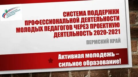 Система профессиональной поддержки