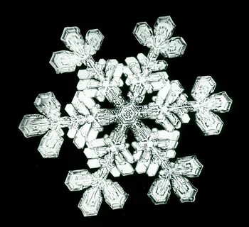 Снежинки исполнитель