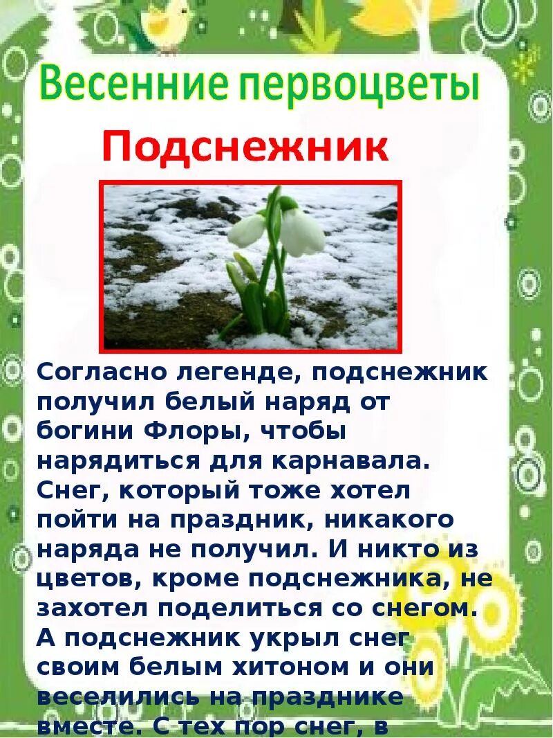 Весенние месяцы для уголка природы. Месяцы весны для дошкольников. Март информация для родителей в детском саду