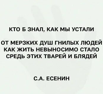 Цитаты про гнилых.