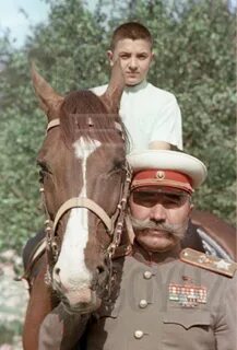 Конь буденного