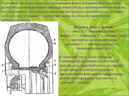 Выступ на ободе колеса 7 букв