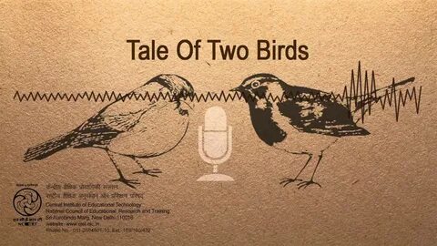 Two birds on a wire