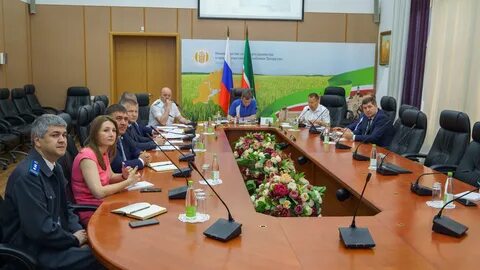 Гув мсх