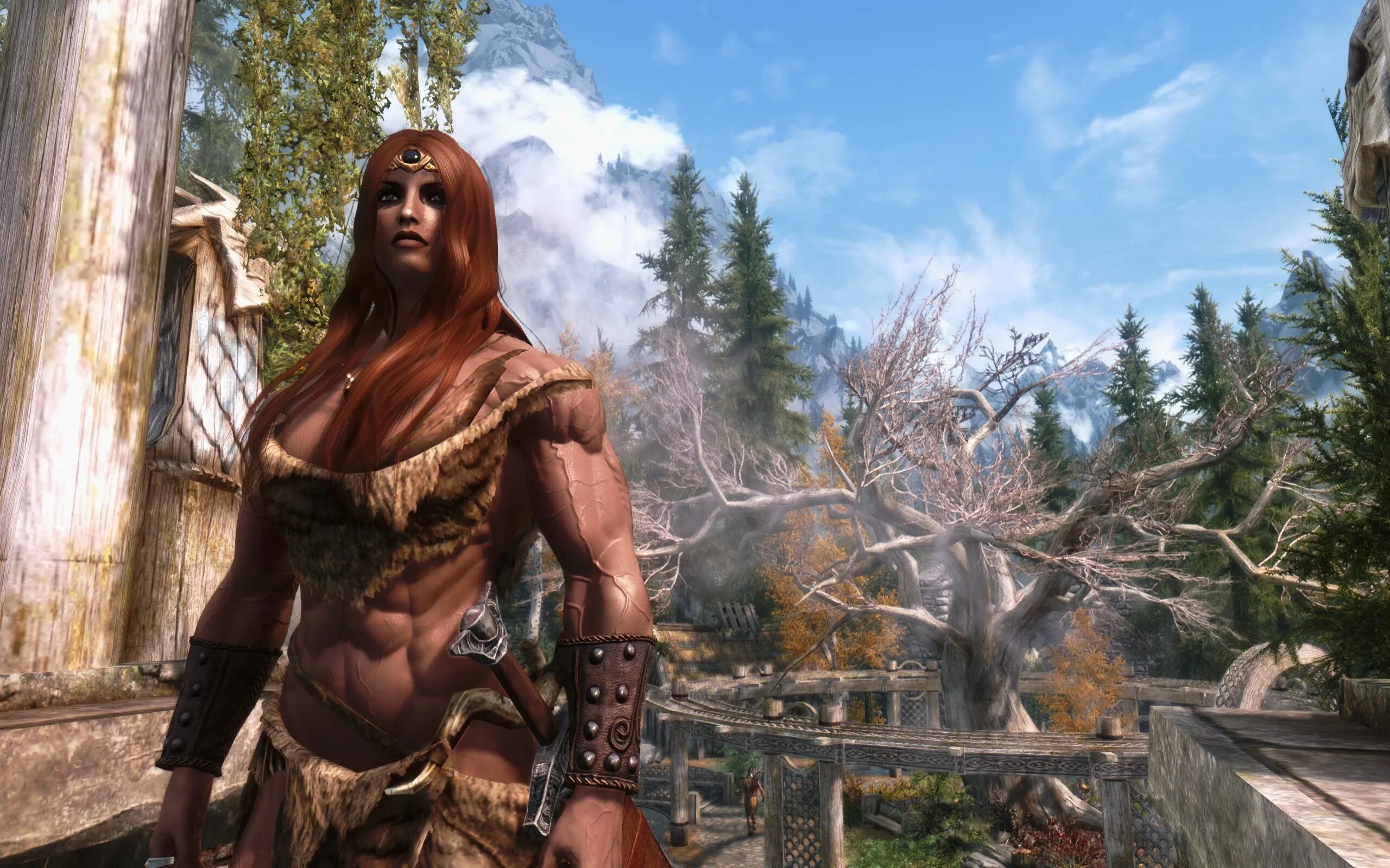 Skyrim модов 18