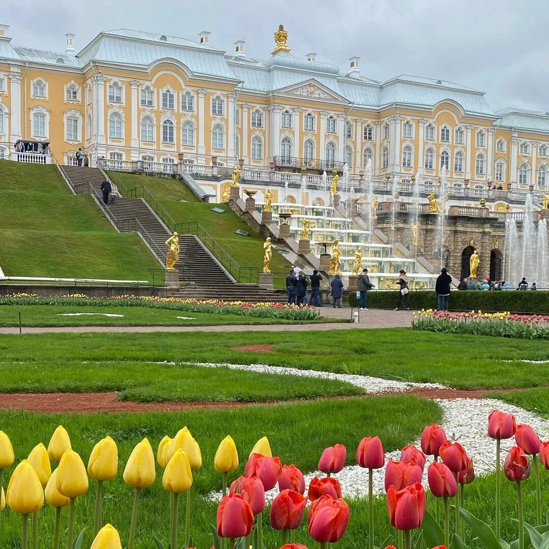 Прогноз погоды в петергофе на 3 дня. Прогноз погоды в петергофе на 3 дня