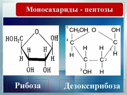 Моносахаридами являются вещества