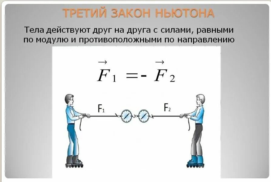 3 Закон Ньютона. Третий закон Ньютона рисунок. Рисунок к третьему закону Ньютона. Третий закон Ньютона чертеж. Примеры ньютона