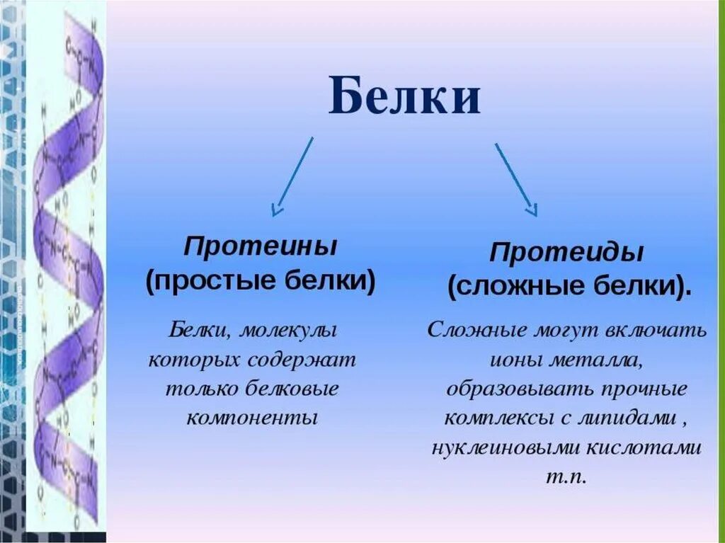 К протеинам относятся. Простые и сложные белки. ПРОСИТЫЕ ми сложные белки. Сложные белки отличаются от простых. Сложные белки примеры.