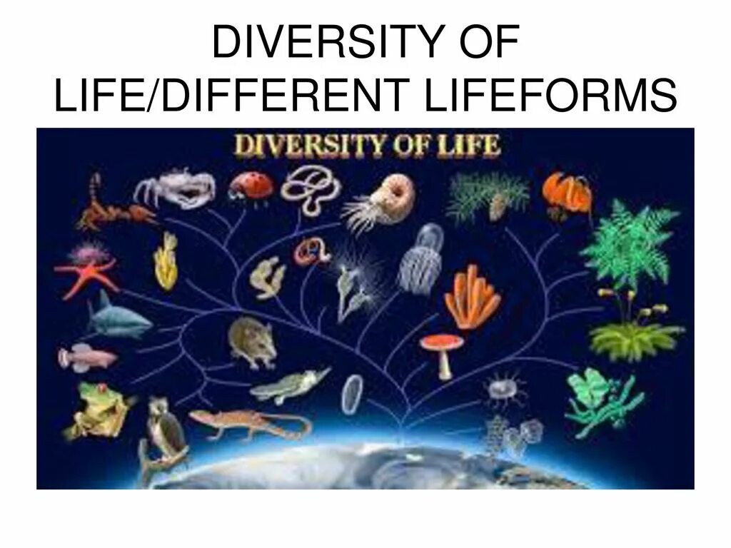 Diversity of Life. The diversity of Life on Earth. Diversity of Living Organisms. Living Organism картинка. Variety is the of life