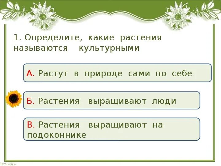 Тест культурные растения. Дикорастущие и культурные растения задания. Дикорастущие и культурные растения задания 2 класс. Тест культурные и дикорастущие растения 1 класс. Контрольная работа растения и человек