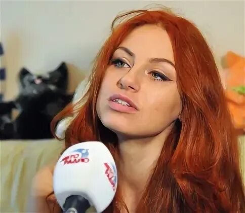 Включи забияка. Включи забияка