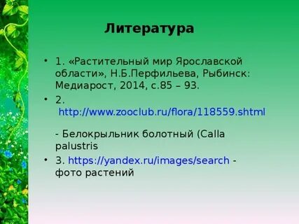 Растительный мир вариант 1