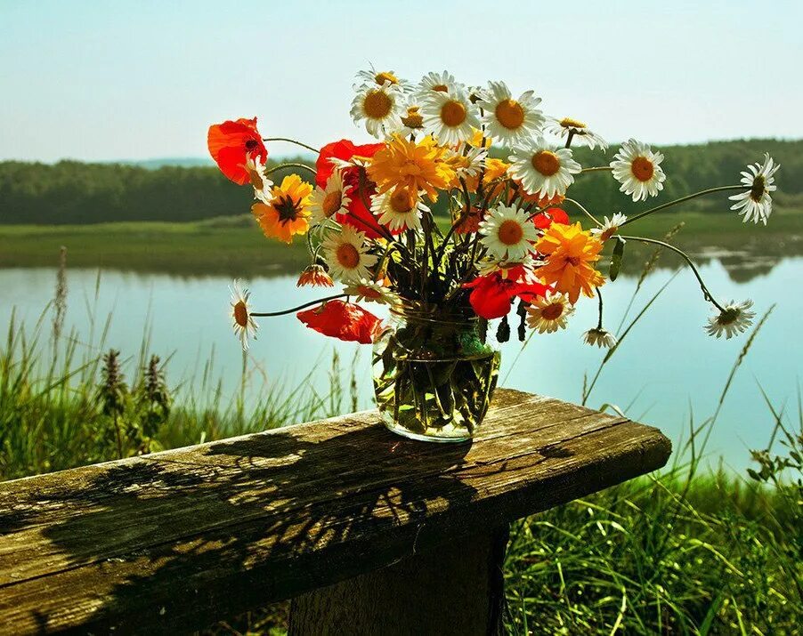 луговые цветы. лето велосипед девушка. летнее настроение цветы полевые. летние цветы. весны прекрасные мгновения.