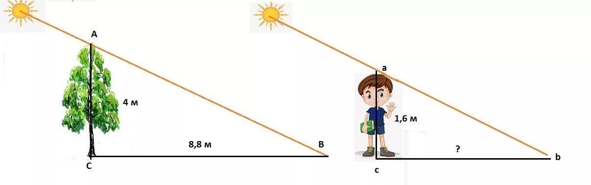Высота 8. Длина тени от забора. Дерево высотой 2 метра отбрасывает тень. Тень от забора 2 метра. 4 Метра в высоту.