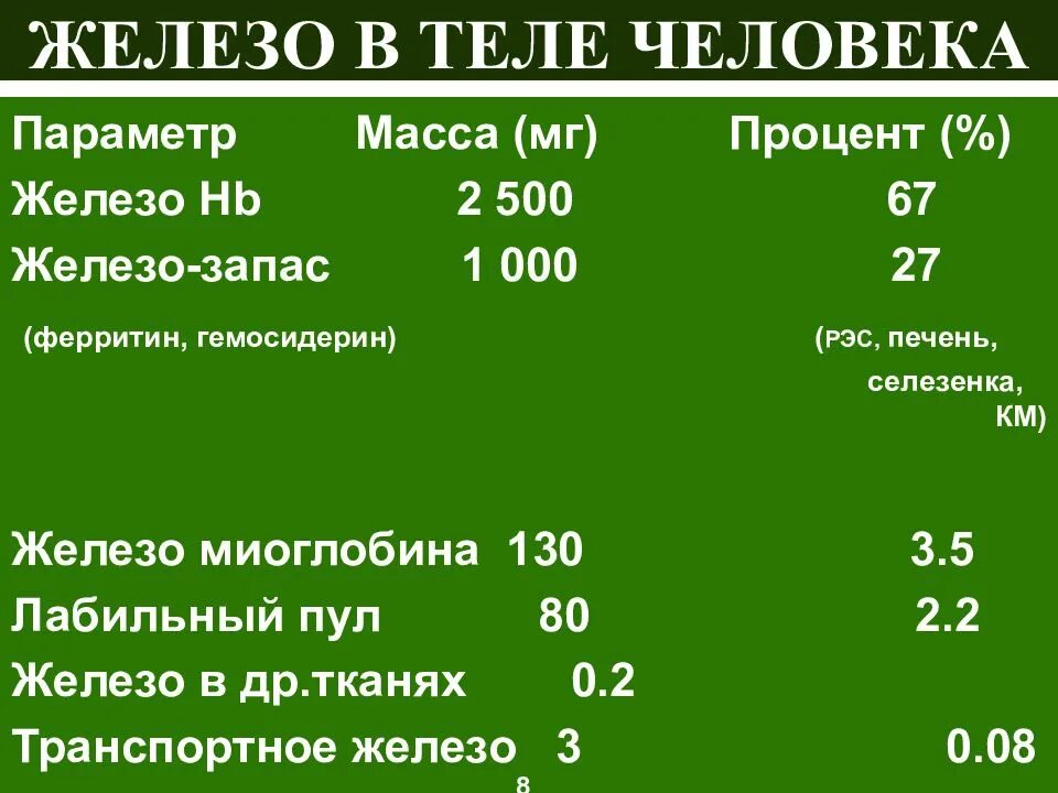 За что отвечает ферритин в организме женщин