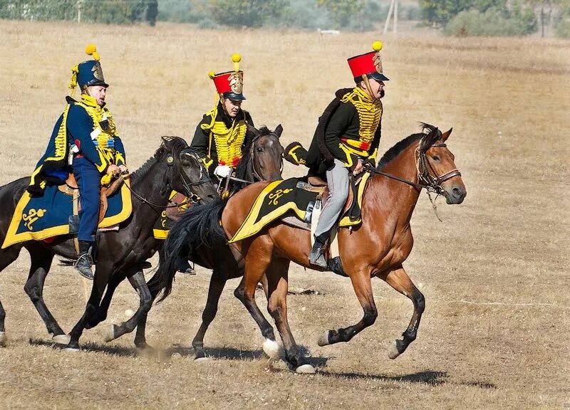 Легкая кавалерия 5 букв. Кавалерия Крымской войны. Кавалерия Франции. Кавалерия Франции в Крымской войне.