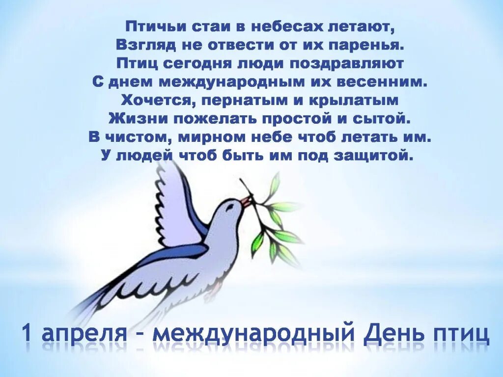 Международный день птиц отмечается 1 апреля. День птиц. Международный день птиц. Международный праздник птиц. С днем птиц поздравления.