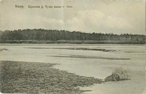 Речка осинка