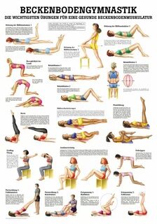 Beckenbodengymnastik lehrtafel 70cm x 100cm von Rüdiger Anatomie * EUR 18,5...