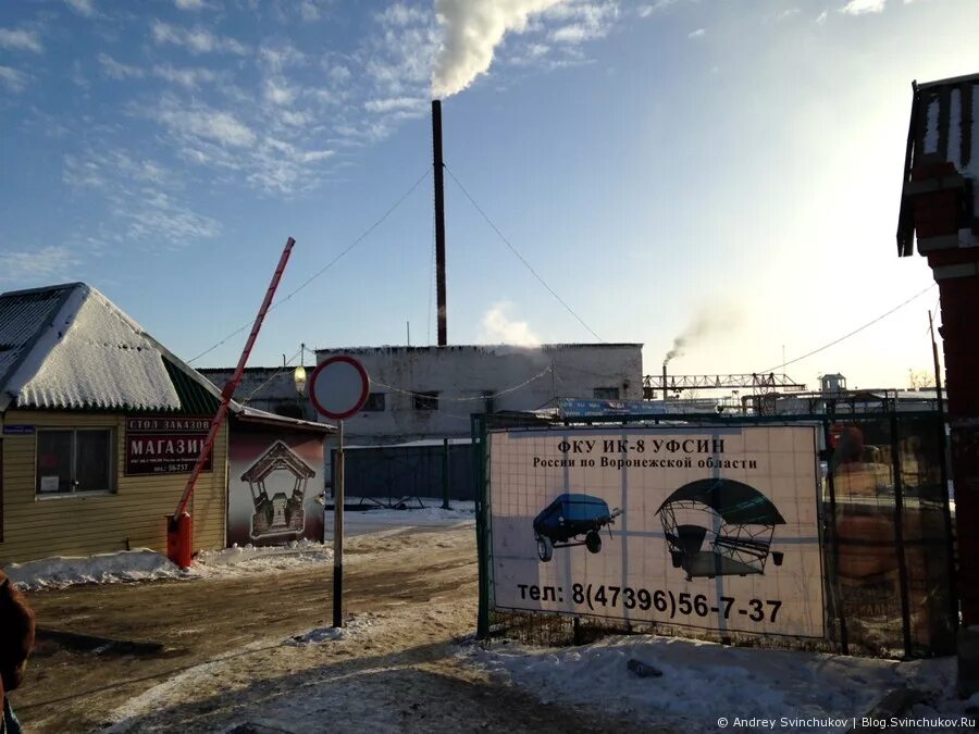 фку ик воронежская область