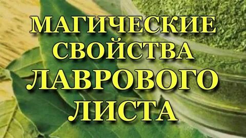 Лавровый лист на деньги