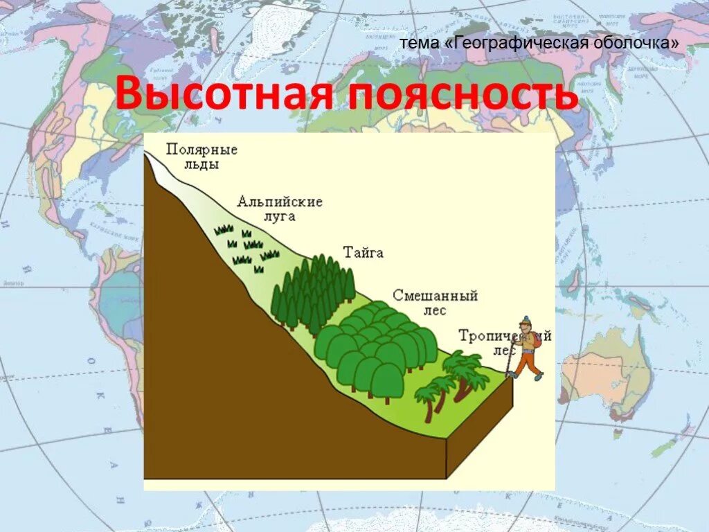 Высотная географическая поясность. Высотная поясность географической оболочки. Высотная поясность 8 класс география. Природные зоны ВЫСОТНОЙ поясности. Высотная поясность это смена природных зон