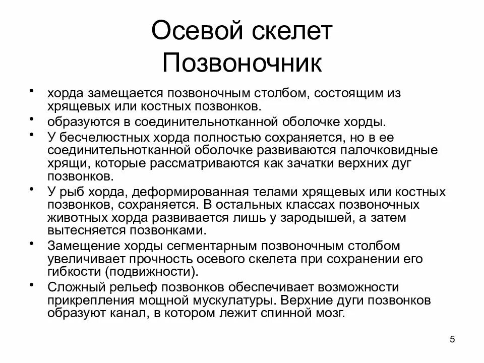 Эволюция скелета позвоночных. Эволюция осевого скелета хордовых. эволюция осевого скелета хордовых животных таблица. эволюция осевого скелета позвоночных. развитие осевого скелета.