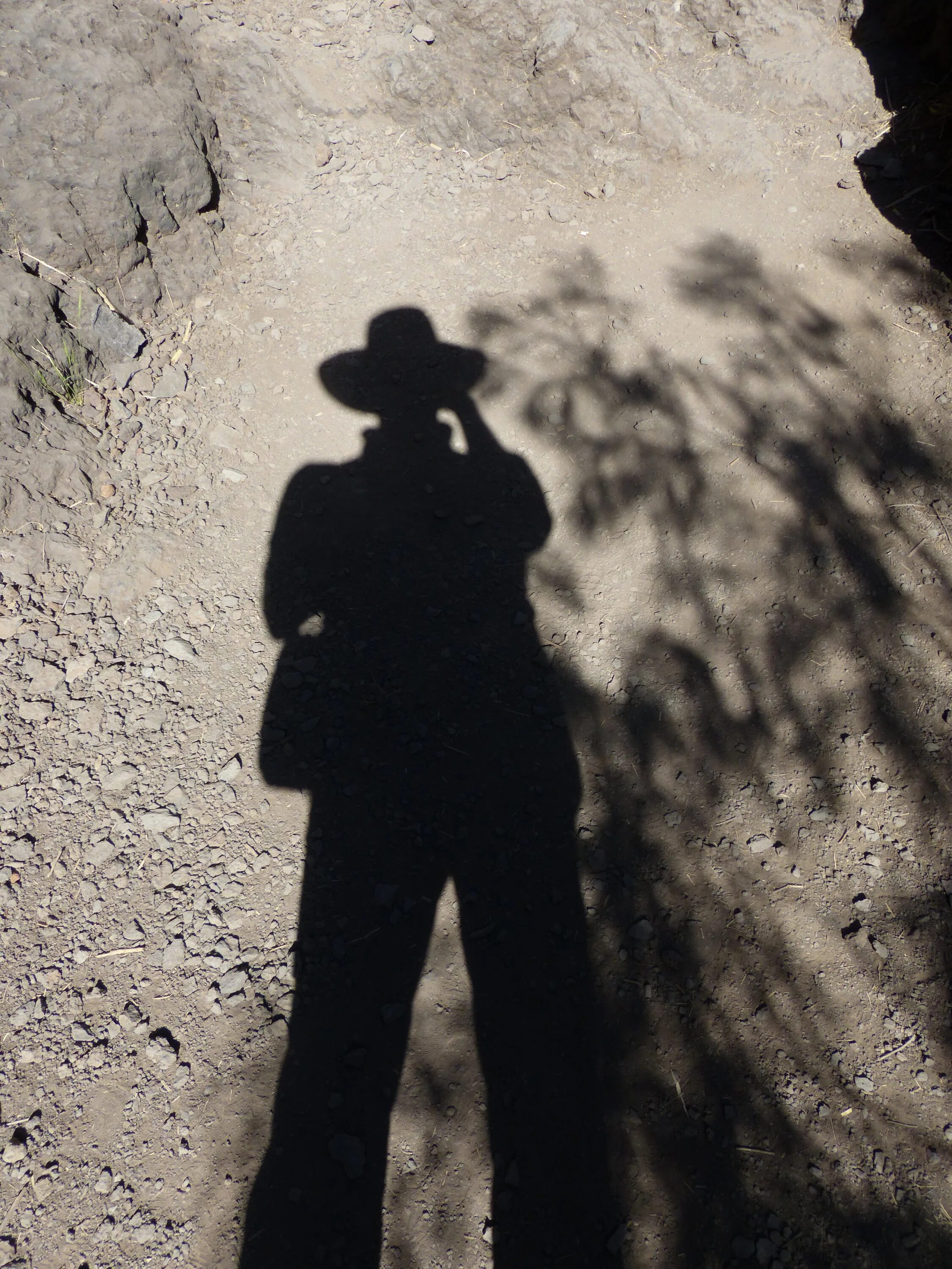 The man from the shadow