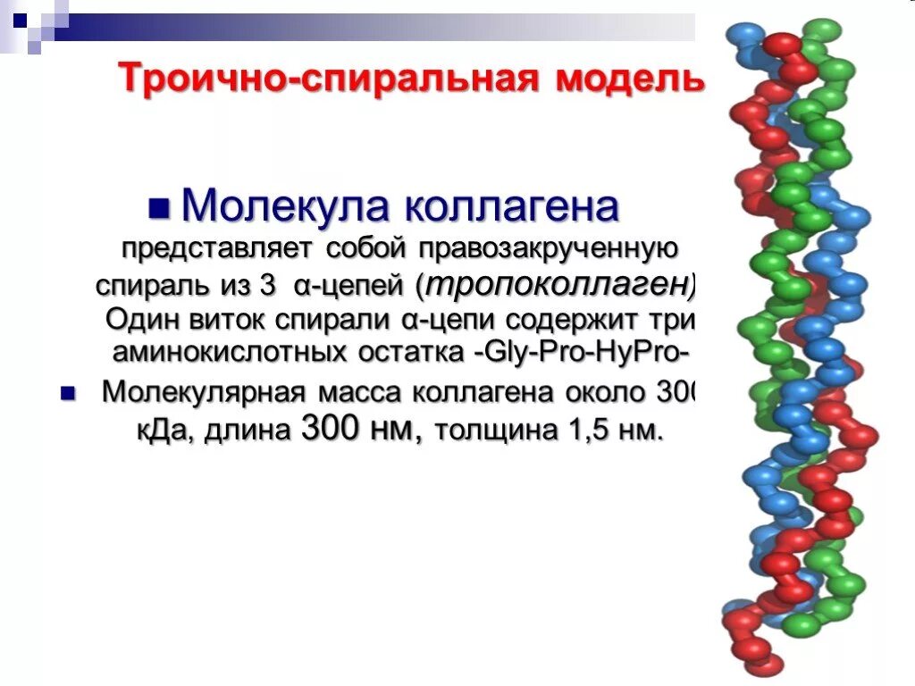 Коллаген состоит из аминокислот. Левозакрученная спираль коллагена. коллаген молекула. молекула эластина. размер молекулы коллагена.