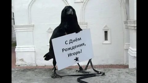 С днем рождения ворона