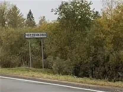 Погода в черленково шаховского р на