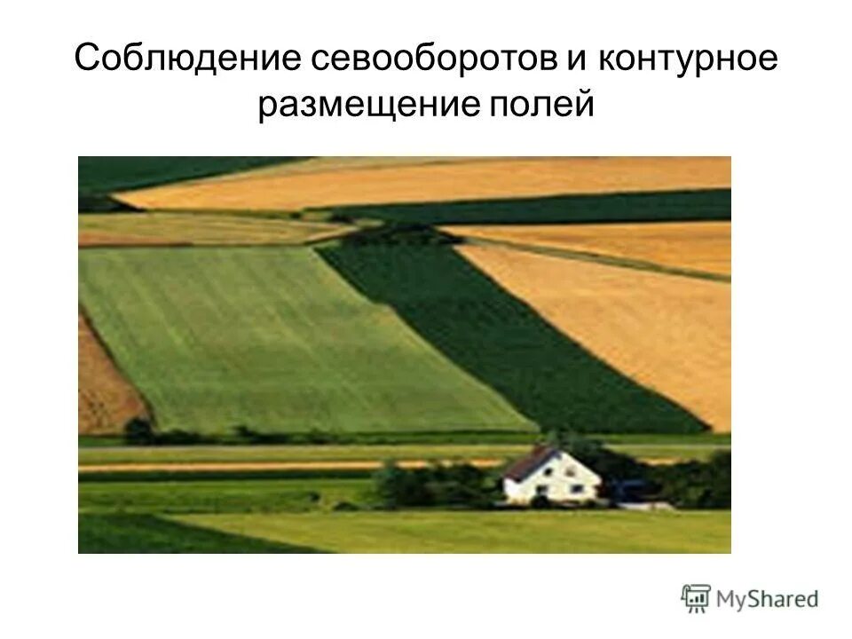 Соблюдайте поля. Соблюдайте поля