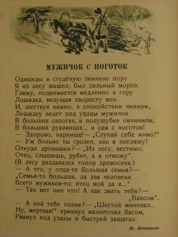 Однажды в студеную зимнюю пору стихотворение автор. Однажды в студеную зимнюю пору стихотворение автор