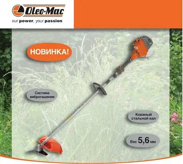 Мак спарта
