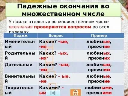 Форма прилагательных именительного падежа множественного числа