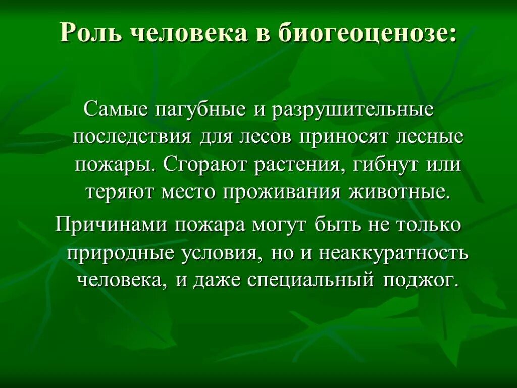 Роль человека в биогеоценозе