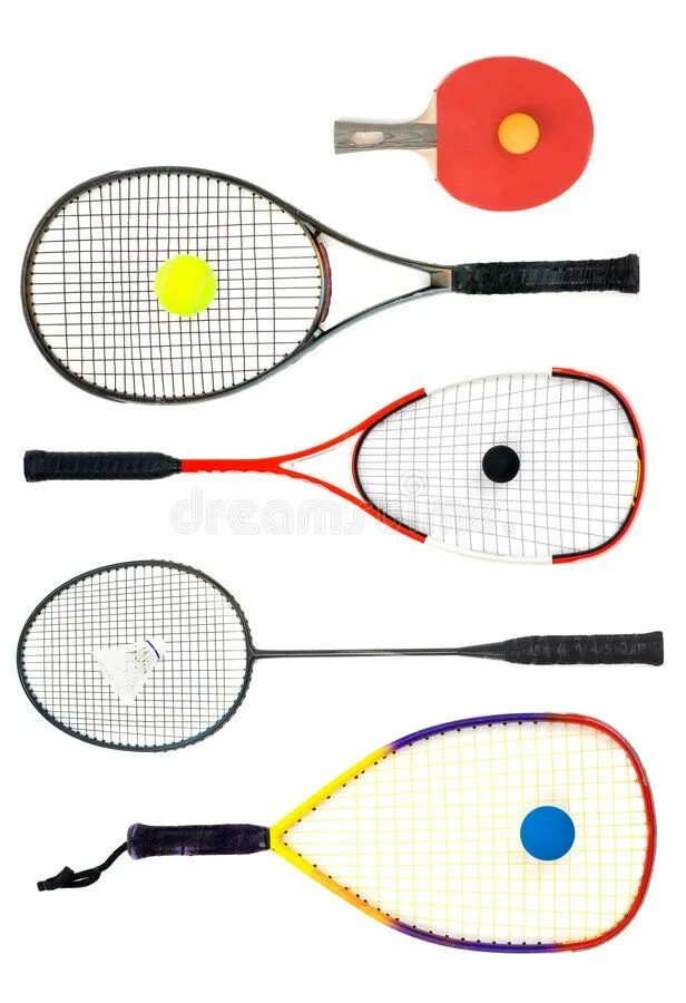 Squash badminton