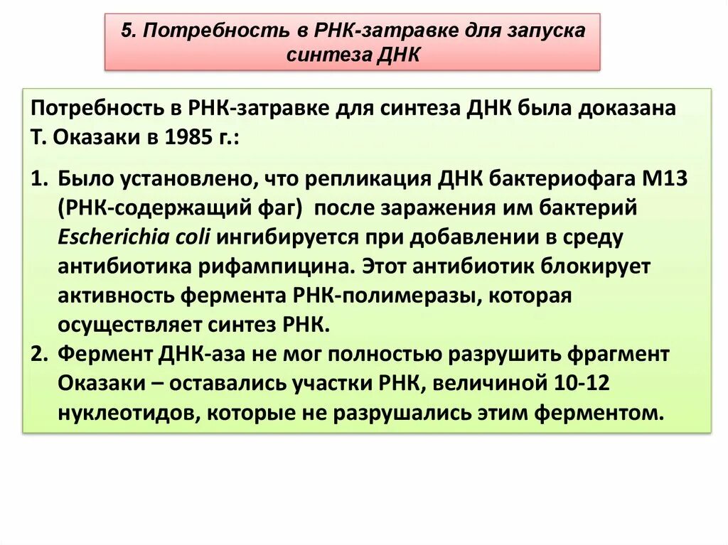 Синтез РНК затравки. Фермент синтезирующий РНК затравку. Потребность в затравке. Потребность в затравке репликации.