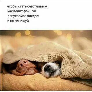 Не кипишуй