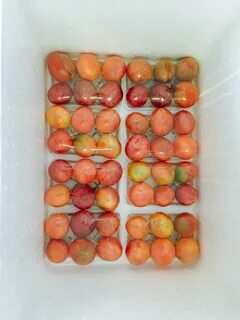Elite fruits