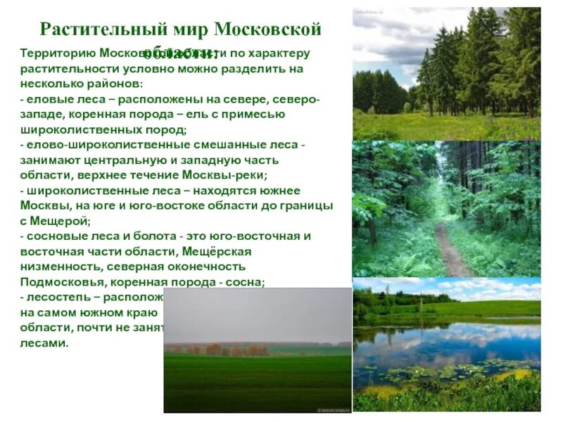 Экономика родного края московская область. Растительный мир Московской области. Природа Подмосковья доклад. Разнообразие природы Московской области. Разнообразие природы Московской области доклад.